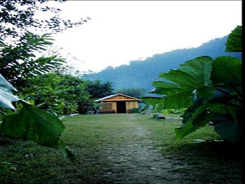 Elephant Brook Resort Rishīkesh Extérieur photo